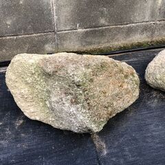 庭石 庭木の縁石 ① あげますの画像