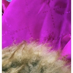 【 フェニックス 】スキーウエアの画像