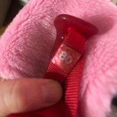 スキーストック（赤）の画像