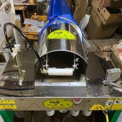 🉐前回の半額‼️ニラ1kgの画像