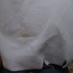 新天地開闢集団 ジグザグ　ぬいぐるみの画像