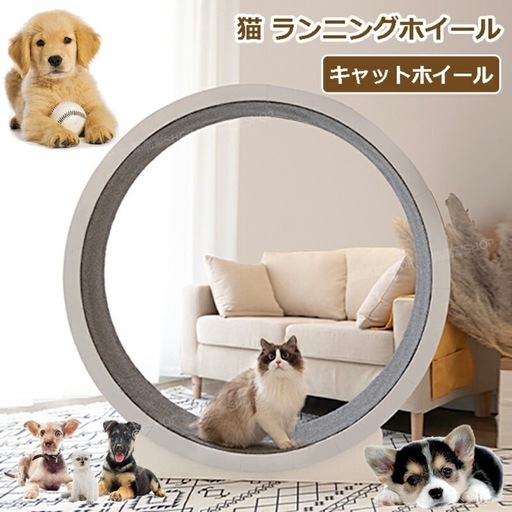 キャットホイール　美品