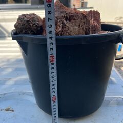 【無料】アクアリウムで使用した岩を差し上げますの画像