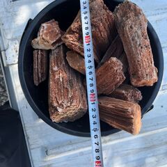 【無料】アクアリウムで使用した岩を差し上げますの画像