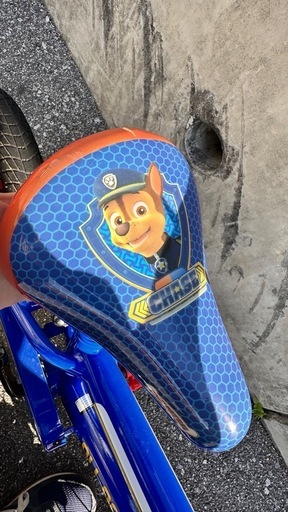 パウパト自転車