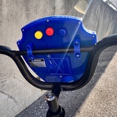 パウパト自転車の画像