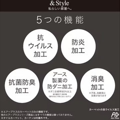 防ダニ・抗菌防臭・防炎・消臭 ラグ・カーペット (エアープラス200×200cm ) ニトリ の画像