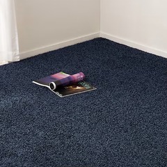 防ダニ・抗菌防臭・防炎・消臭 ラグ・カーペット (エアープラス200×200cm ) ニトリ の画像