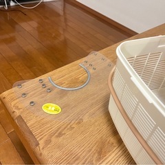 エリザベスカラー子猫用箱の画像