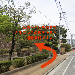 安心して学べるアクロヨガクラス｜毎週水曜のパートナーワークの画像