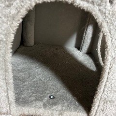 キャットタワーの画像