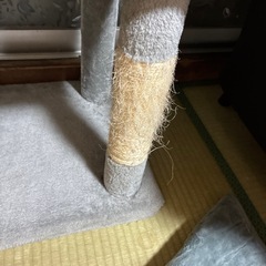 キャットタワーの画像