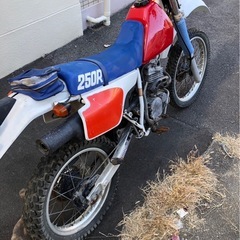ホンダ MD20 XLR250R 
書あり  広島市中区の画像