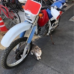 ホンダ MD20 XLR250R 
書あり  広島市中区の画像