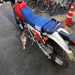 ホンダ MD20 XLR250R 
書あり  広島市中区の画像