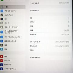 iPad　第9世代　256GBの画像