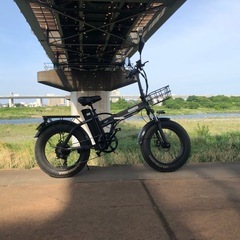 PELTECHペルテック TDF－21Z 26型 CYCOO 電動