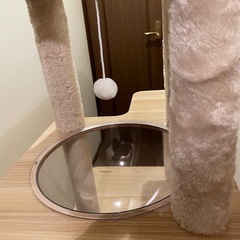 キャットタワー　引き取りのみの画像