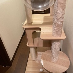 キャットタワー　引き取りのみの画像