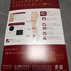 【新品】GUNZE＆ATSUGI ストッキング 3足 M-L 日本の画像