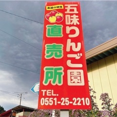 2025産くず米　5kgの画像