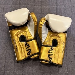 キッズボクシンググローブの画像