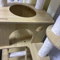 キャットタワーの画像