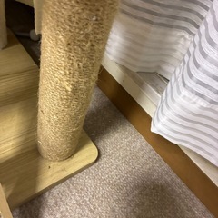 キャットタワーの画像