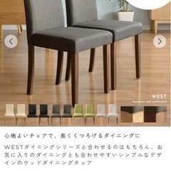 チェア　エアリゾームの画像