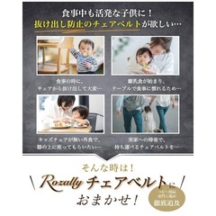 チェアベルトの画像