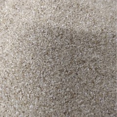 令和7年産　くず米　飼料用　家畜用の画像