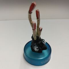 海洋堂 ボトルキャップ 深海生物フィギュアの画像