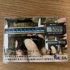 NESiA900♀（56.0㎜）単品オオクワガタ大型血統の画像