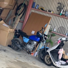 honda ape50  低走行車両　fiの画像
