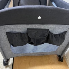 訳あり　ネビオ　プレイヤードの画像