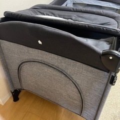 訳あり　ネビオ　プレイヤードの画像