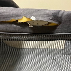 訳あり　ネビオ　プレイヤードの画像