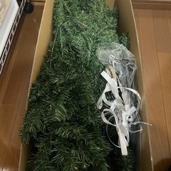 クリスマスツリーの画像