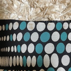 薄手スカートの画像