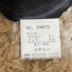 薄手スカートの画像