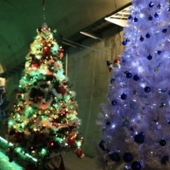 13日の昼に、高森湧水トンネルのクリスマスイルミネーション…