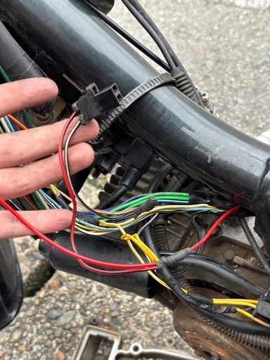 NORTHWAY SPORTS ESPERANZA NSG-358a BLACK 3本 (P1966akxYM)