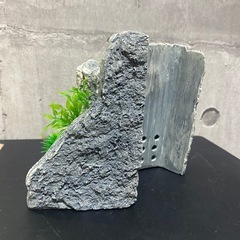 水槽用オブジェ🐟の画像
