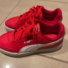 プーマシューズです。の画像