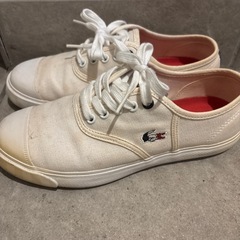 ★LACOSTEスニーカー★の画像