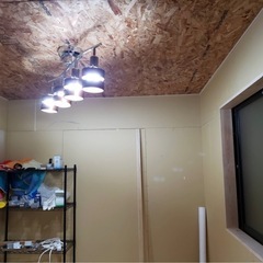 20ft海上コンテナ中古の画像