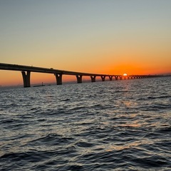 釣り仲間大募集