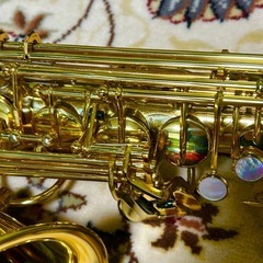 YANAGISAWA A−50 アルトサックスの画像