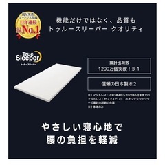 トゥルースリーパー ダブルサイズ 30000円相当の画像