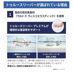 トゥルースリーパー ダブルサイズ 30000円相当の画像